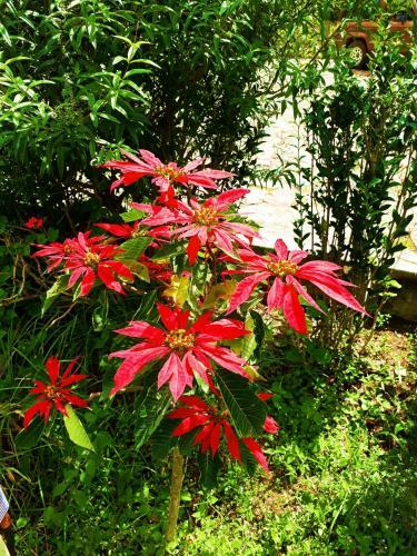 Posada Hosteria Rinc�n De Isabel