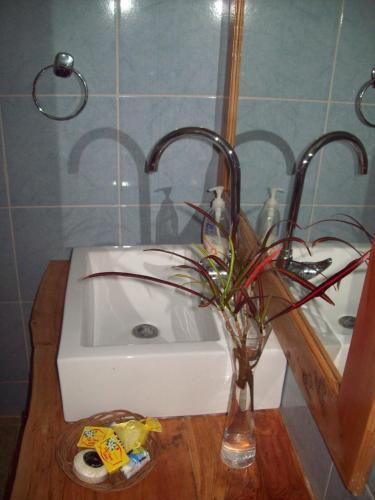 Cabana Pumakari