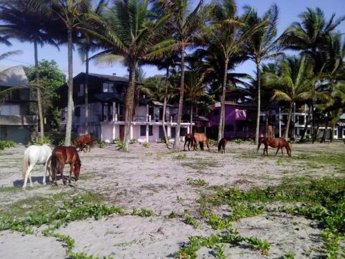 Bed & Breakfast Quinta Samay Muisne