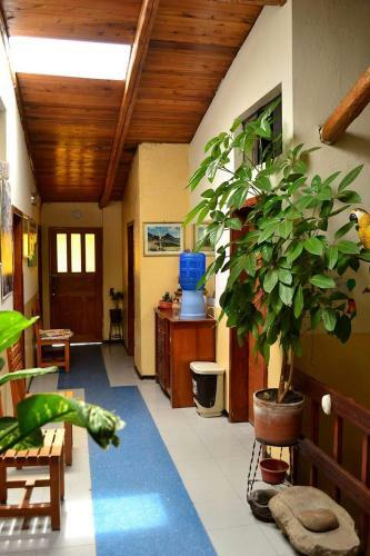 Hostal Condor Matzi