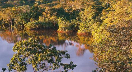 Amazon Dolphin Lodge