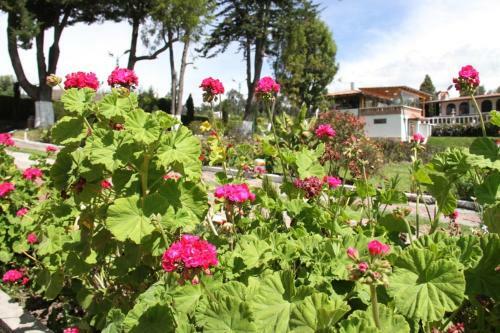 Condor�s Antisana Hotel Y Centro de Eventos