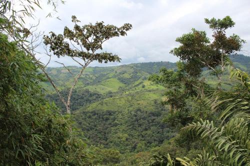 Posada Herminia�s Farm