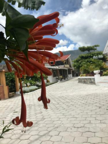 Villa Vacacional Ambuqui