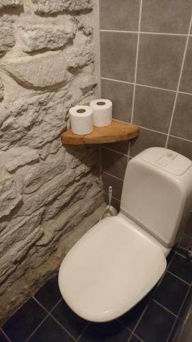 Old Town Sauna Apartment