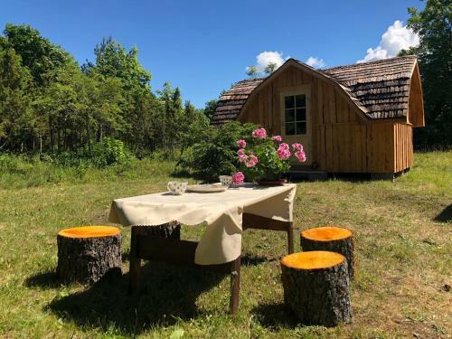 Agroturismo K�spri Farmstay