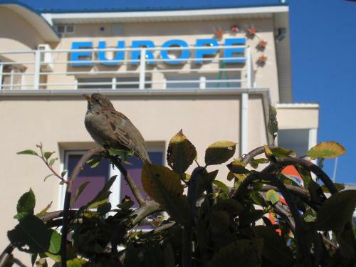 Hostal Europe Guesthouse