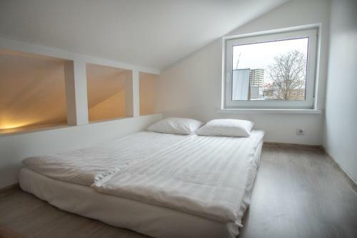 Dream Stay - Central Apartments Near Airport.