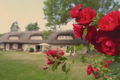 Bed & Breakfast Metsara B & B