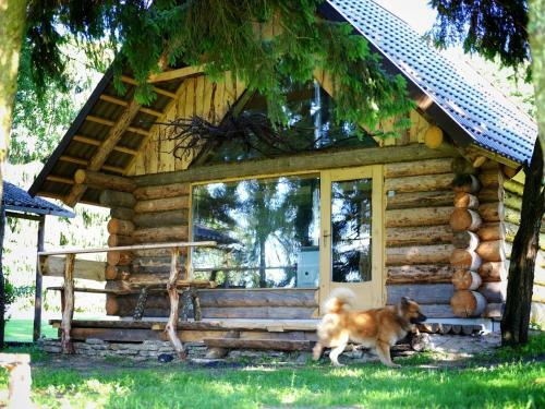 Agroturismo Hiie Talu