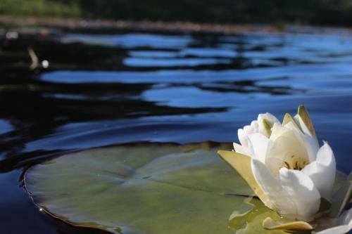 Hostal J�rve��re Holiday House