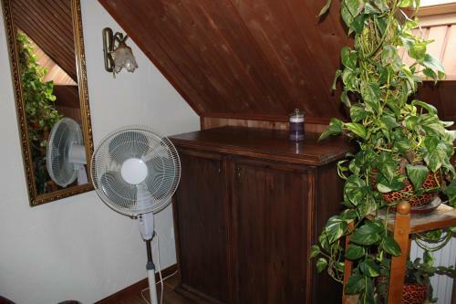 Hostal Krapi Guesthouse