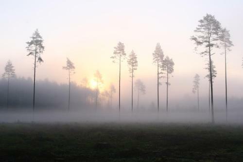 Haudam�e Holiday Home