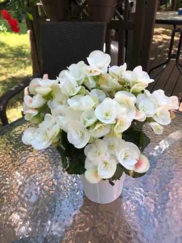 Bed & Breakfast Paivilla Boutique Hotel