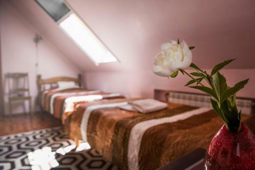 Posada Veski Guesthouse