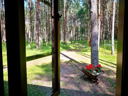M�ndjala Forest House