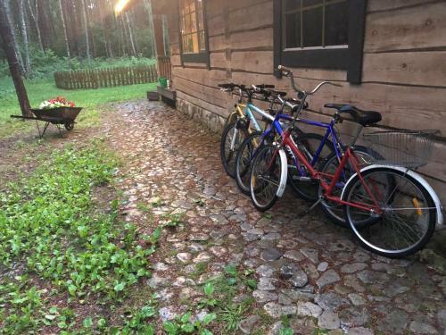M�ndjala Forest House