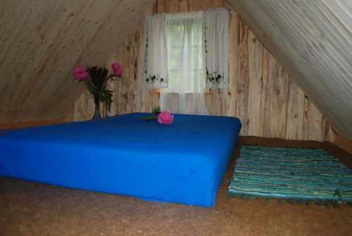 Hallikivi Tourist Farm