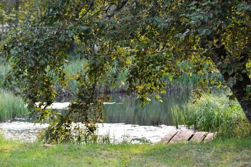 Rosma Mill Holiday House