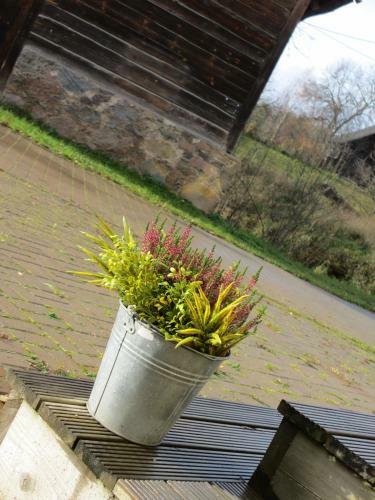 Rosma Mill Holiday House