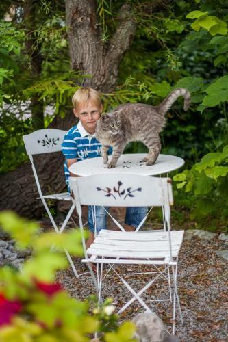 V�striku Holiday Home