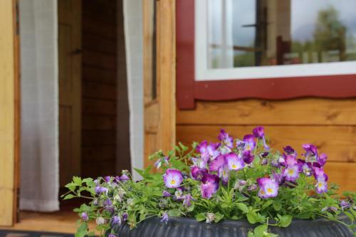 Lepametsa Holiday Houses