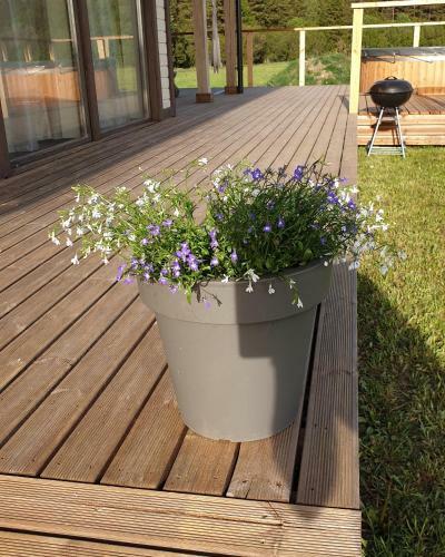 Marise Holiday Home