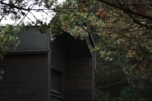 Surfhunt Holiday House