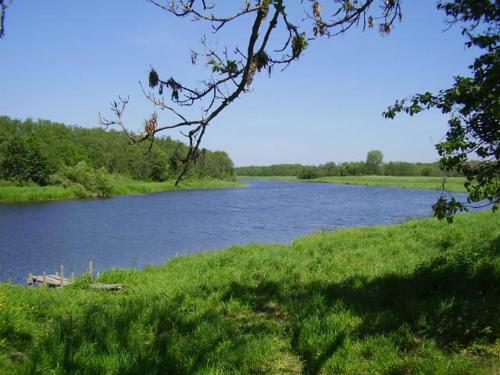 Paali-t�nise Turismifarm