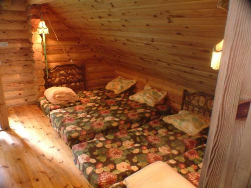 Neti Holiday House