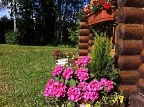 Neti Holiday House