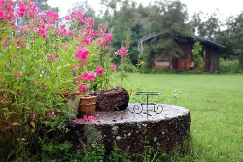 Neti Holiday House