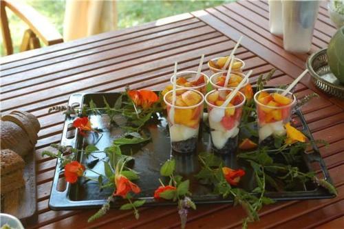 Neti Holiday House