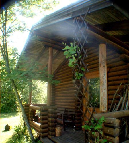 Neti Holiday House