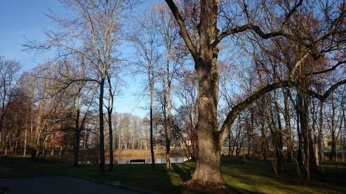 Hotel Saku M�is & Saku Manor