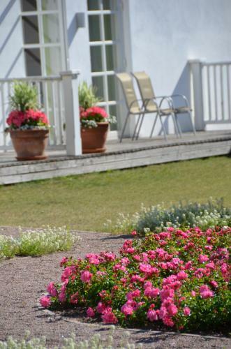 Sagadi Manor Hotel