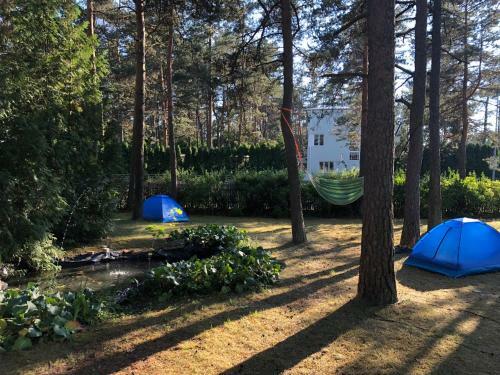 Freedom65 Hostel And Caravan