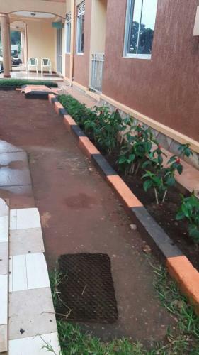 Hostal Ulrika Guest House