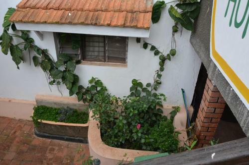 Hostal Merabu Homes
