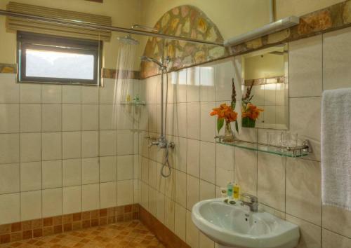 Hotel Silverback Lodge