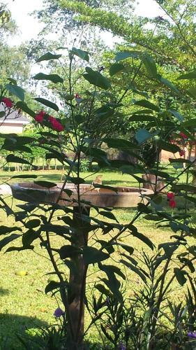 Hotel Philo Leisure Gardens