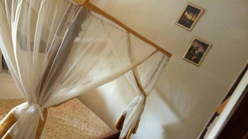 Albergue St. Patrick?s Forest House