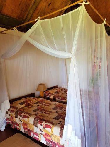 Lodge Bwana Tembo Safari Camp