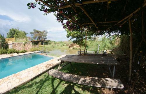 Apartamento Yellow Haven Lodge