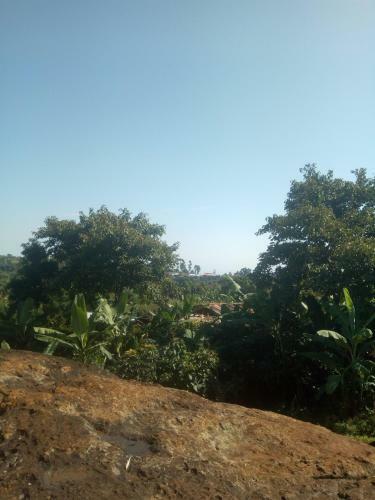 Fredson's Homestay