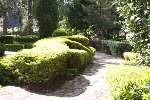 African Village Hotel