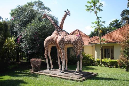 African Village Hotel