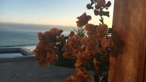 Hotel La Playa