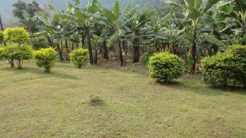 Rwenzori Homestay