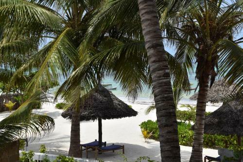 Moyo Beach Apartment